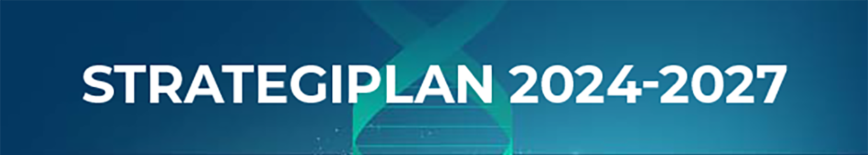 Strategic plan 2024-2027
