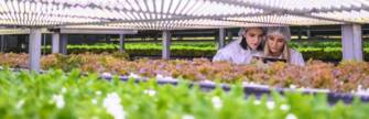 Agroalimentación